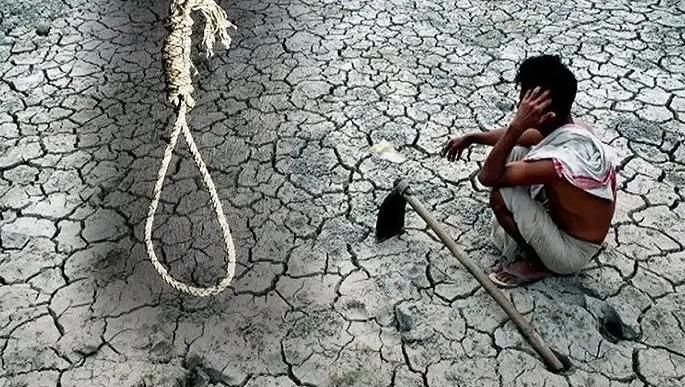 印度一村庄密集发生自杀事件 “恶魔”或为农药 （农药导致抑郁）