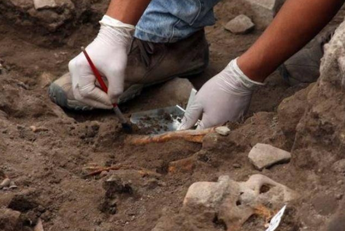 2001年考古队发现明朝亲王墓，出土5300余件文物，专家：富可敌国