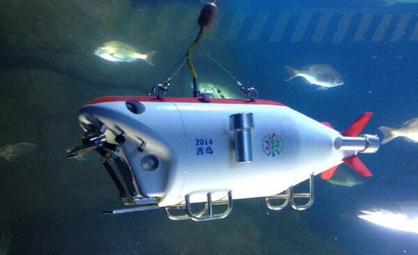 深海探测器传回图像：数千米水深下有什么奥秘？（人类所为）