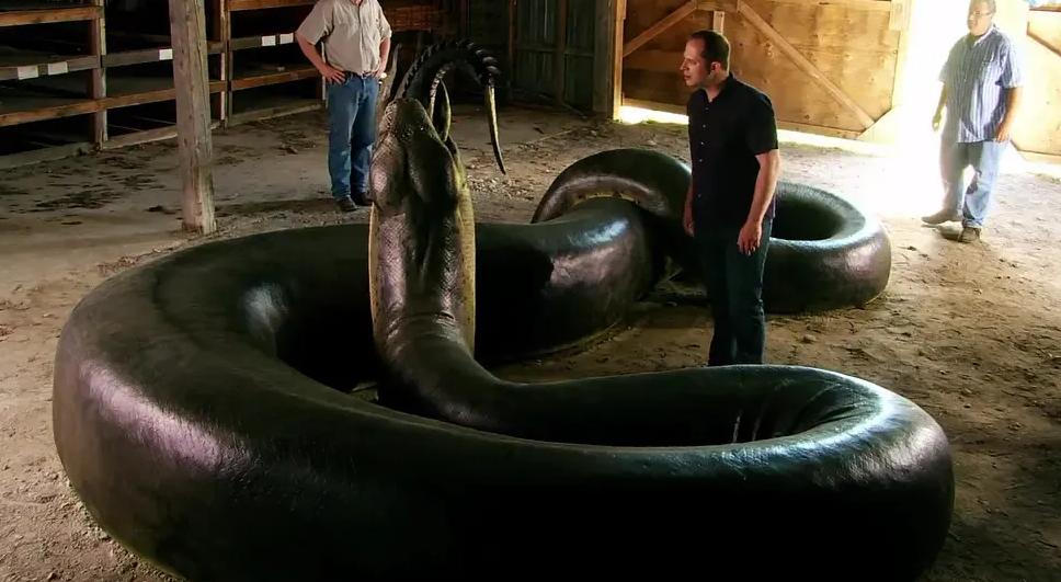 地球上最大的蛇，身体最长可达15米，处于食物链的顶端