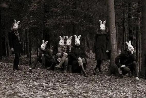 世界上最诡异的兔子，兔头人身的砍人恶魔 （兔子成杀人狂）