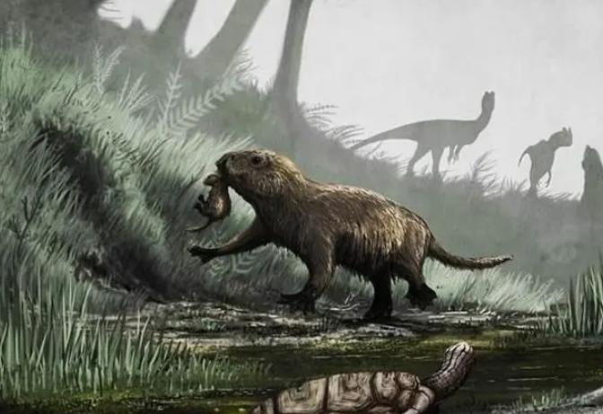 有研究表明哺乳动物祖先是有毒的，但现在为什么没有毒了？