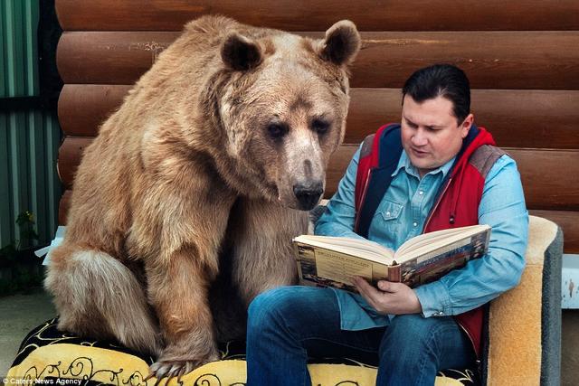 俄罗斯人真的不怕熊吗？不愧是战斗民族（大多数为养殖的棕熊）