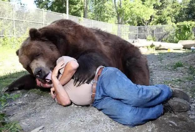 就只用一把小刀，就能斗过棕熊？23岁男子被袭击，反杀棕熊