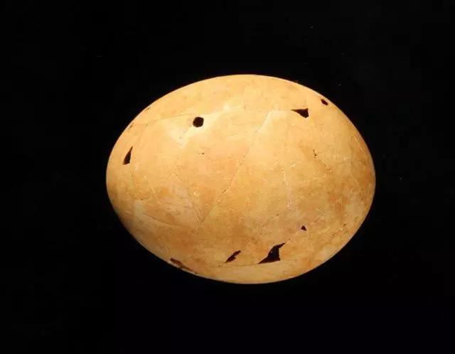 惊人发现,第1批人类登陆澳洲吃的是高度达到两米巨鸟的蛋