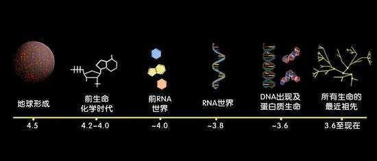 人类的起源究竟是什么？可能从海洋中能够找到答案！（生命之源