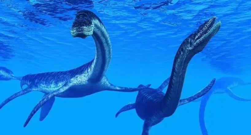 脖子那么长的蛇颈龙游泳时阻力不大吗？具体是怎么做到的？