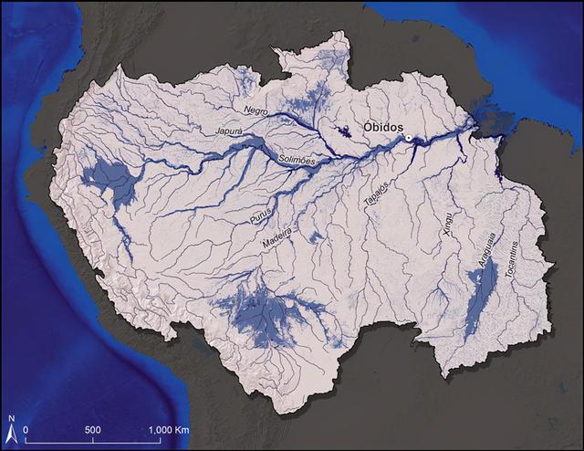 亚马逊河到底有多恐怖，为什么连当地人都不敢在里面游泳