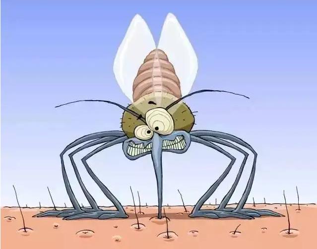 当蚊子的大脑被监控，思考时神经元会发光？  （想法一目了然）