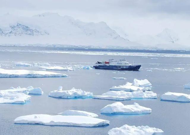 南极冰下五百米，拥有许多海洋生物（生命认知）