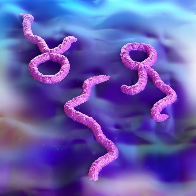 人体内奇怪的细胞和病毒：是对人体有害还是有益？（蛋白质病毒）