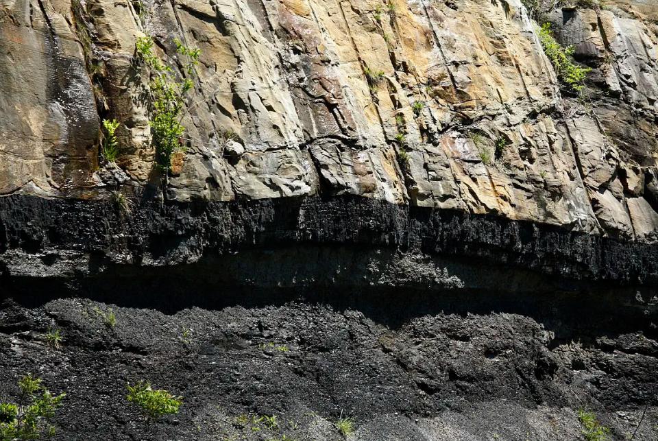 100多米厚的煤层怎么形成的？远古地球有那么多植物吗？