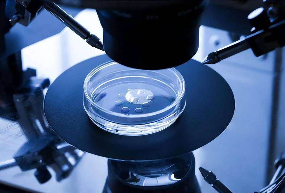 人兽混合胚胎实验将成为现实，旨在造福人类是否可信？