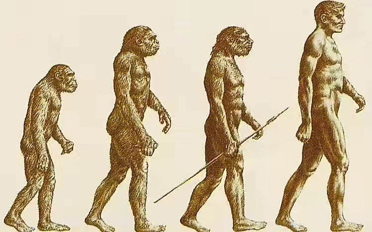 达尔文的进化论竟然有漏洞，源于史前文明的发现（人类文明演变）