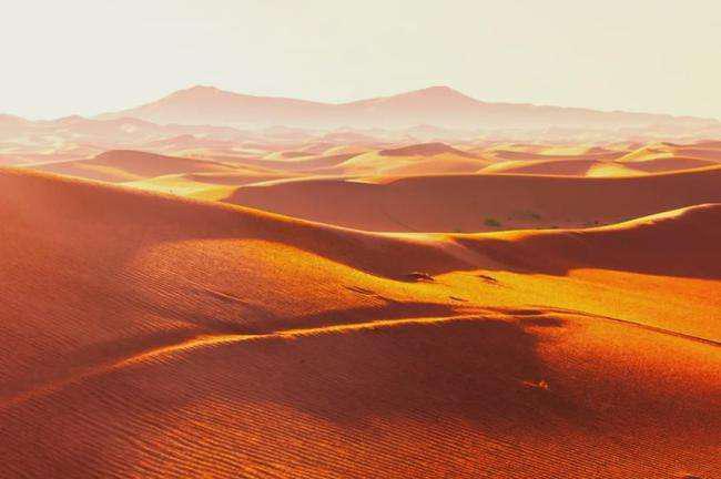 撒哈拉沙漠下面究竟有什么秘密？（挖开沙子下面有奥秘）