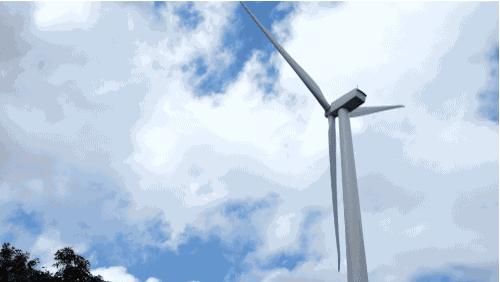 为什么风力发电会遭到一些人的抵制？（对生物、环境造成影响）