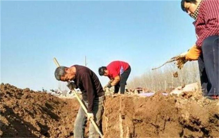 河北农民挖到古墓，摔一跤发现5000件文物，出土国宝被禁止出境
