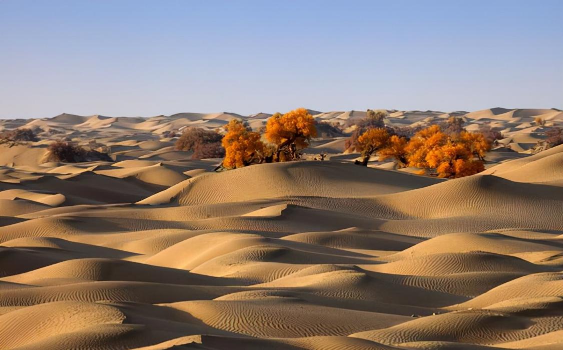 为什么毛乌素沙漠能消灭，塔克拉玛干沙漠却不能？