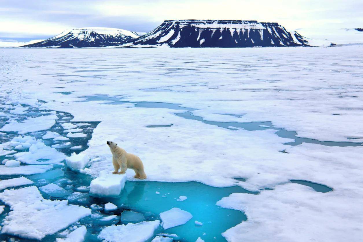 北极圈温度达到48度，热浪席卷北极圈（气候变暖）