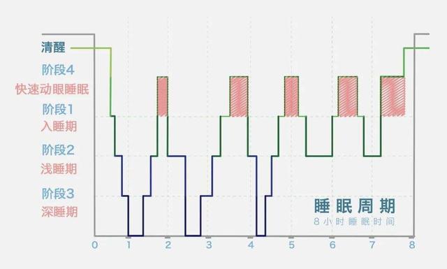 我们到底因为什么才会做梦？（跟大脑的状态有关）