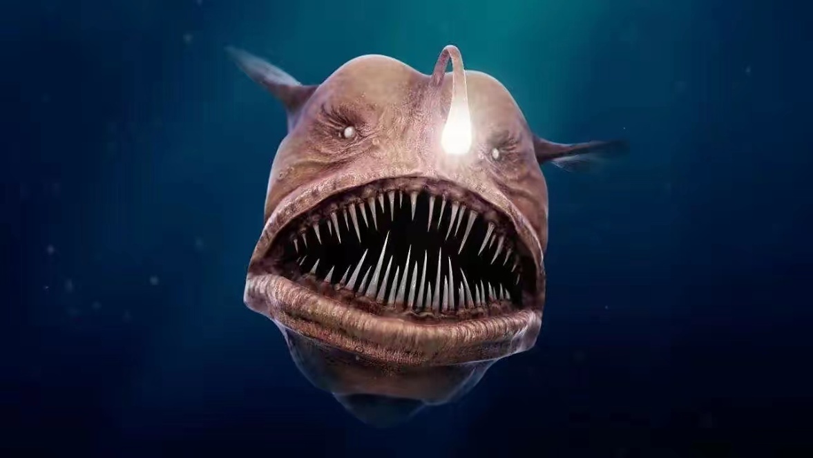 马来西亚发现了一种长着人牙的鱼，看起来是一种外星生物