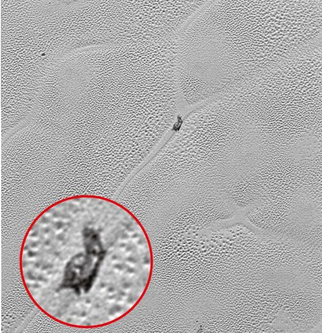 冥王星上发现了巨型蜗牛？和地球上的还差不多？（冥王星的新发现