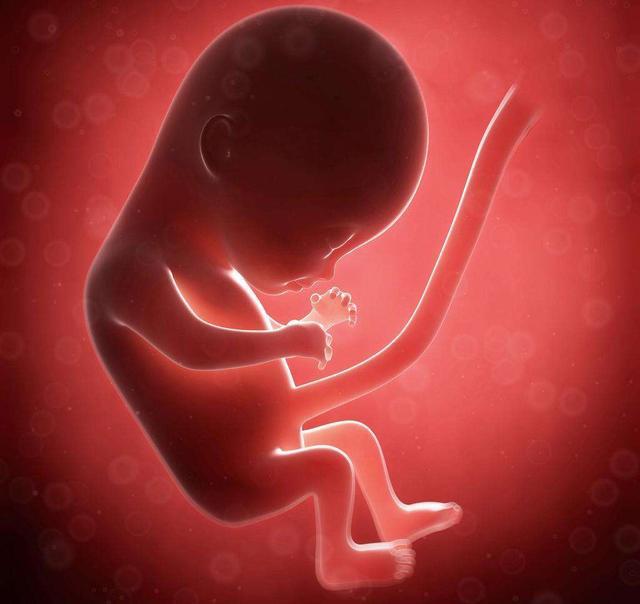 胎儿是怎么换营养的，羊水又是干什么用的（婴儿的成长）