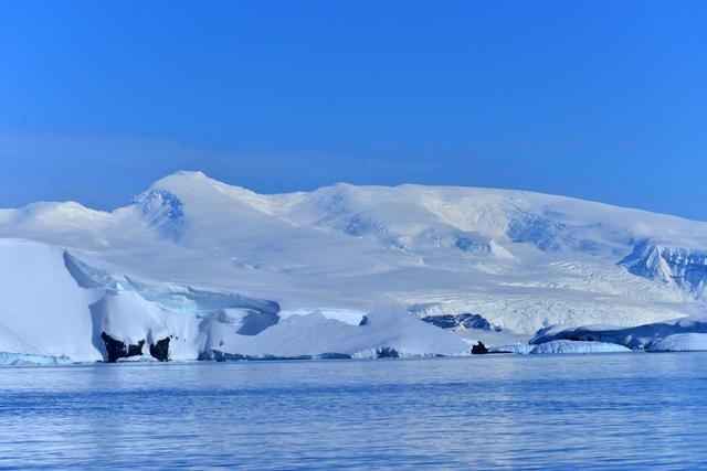 南极冰川下面的微生物，史前生物的秘密是什么（史前生物的秘密）