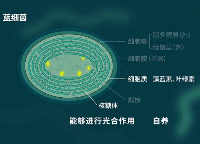 空间站里怎么确保氧气供应？直接带上去液化氧气不行吗？