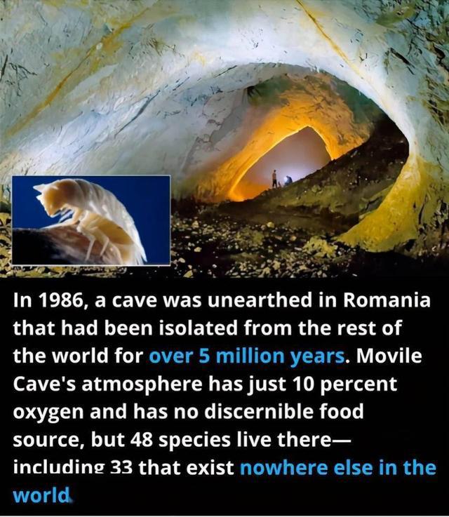 一个神秘深暗的洞穴里，为什么有那么多生物？（神秘洞穴探索）