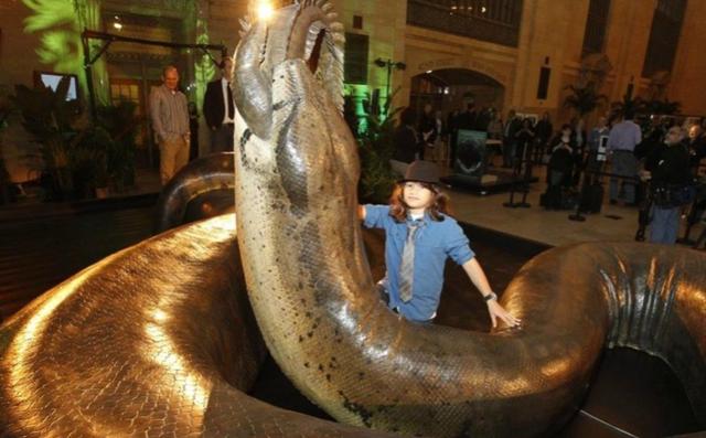 五千万年的史前生物，巨大的蛇称霸地球（史前怪兽的兴衰）