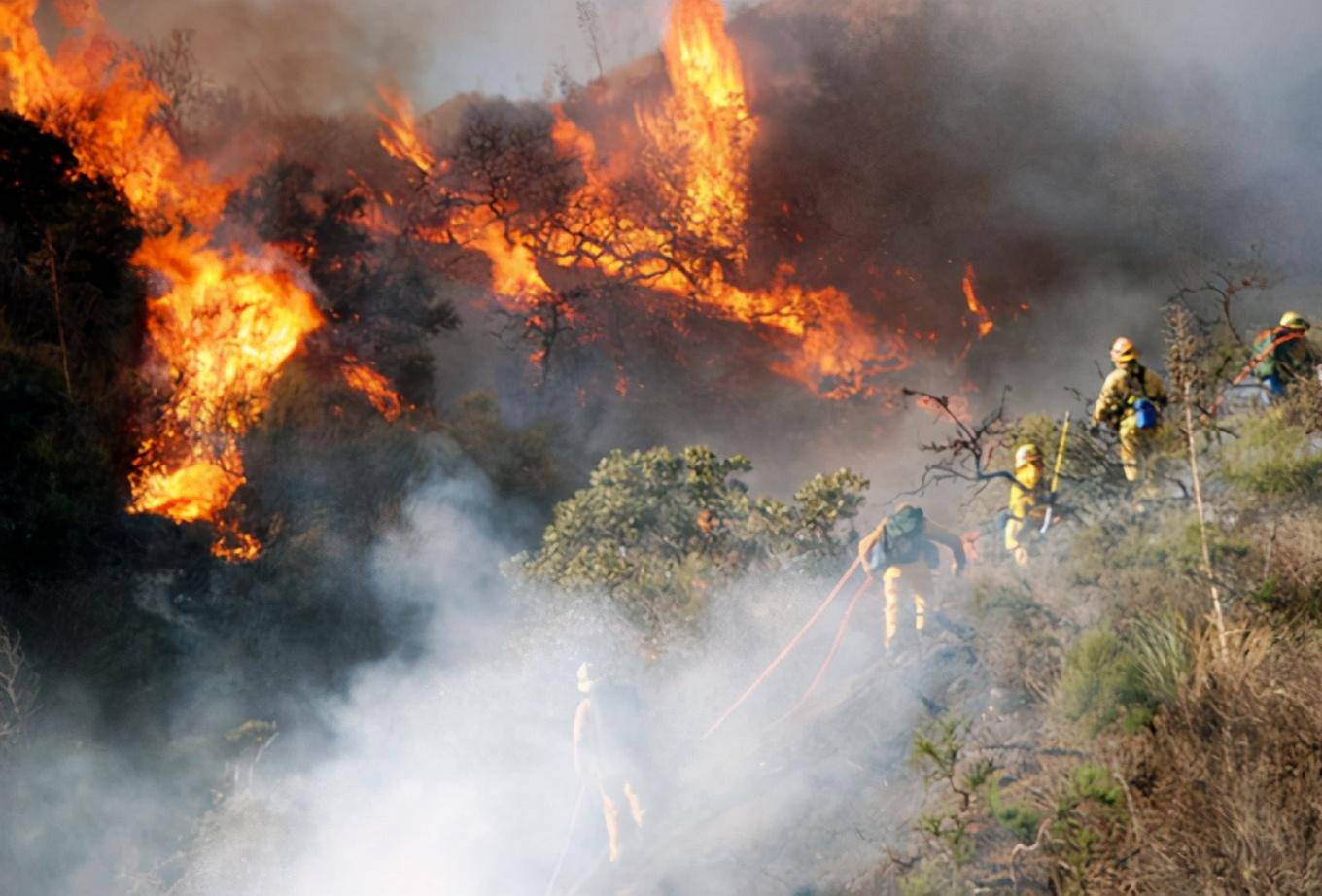 美国西部连年发生森林大火，今年应该也不好过（燃烧条件）