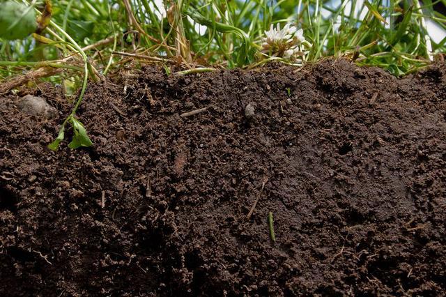 现在都在研究转基因，那么这些对土壤有什么影响吗？
