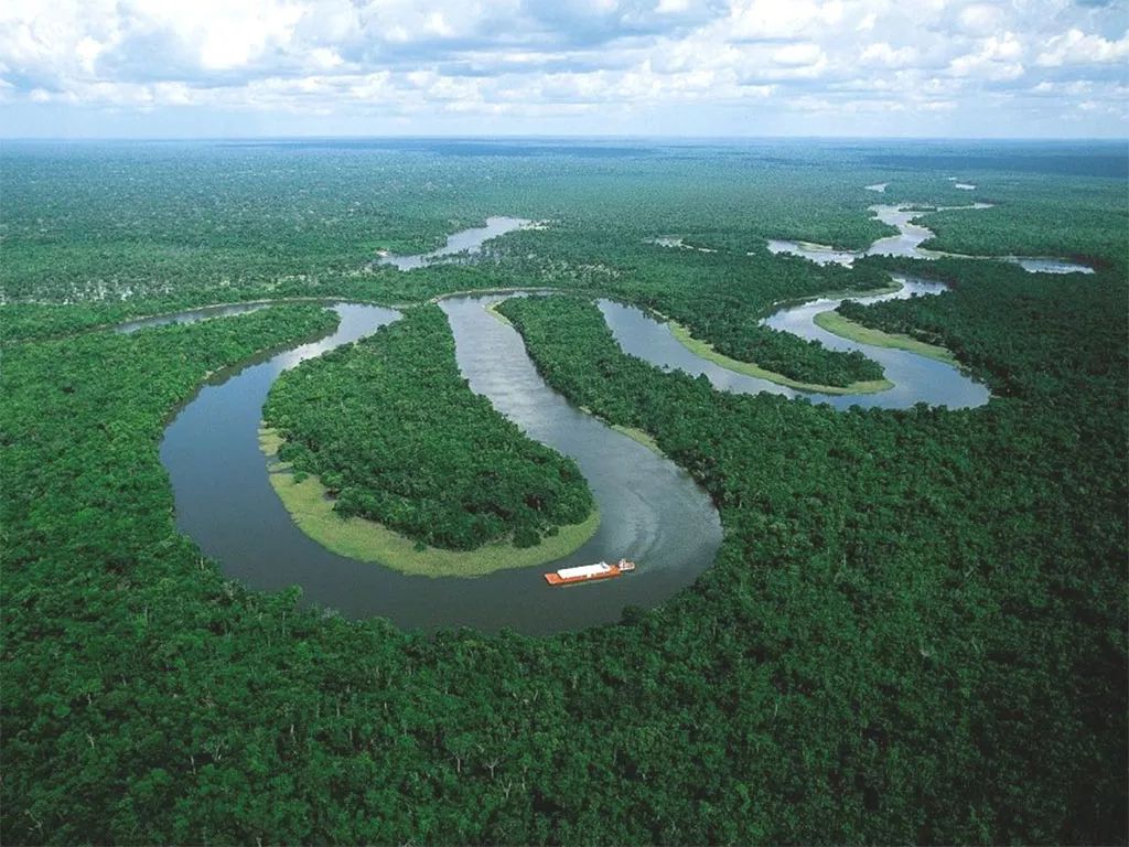 亚马逊雨林面临危险的临界点，地球之肺正在衰竭（地球之肺）