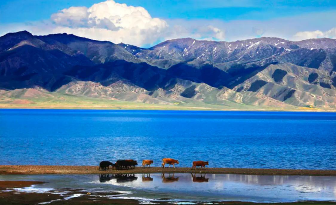 雅鲁藏布江水引入塔里木盆地，会怎么样；造出超青海湖30倍大湖
