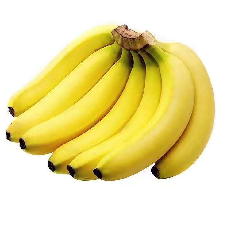 30年后香蕉会灭绝？了解香蕉发现，我们吃香蕉其实来自同一棵树
