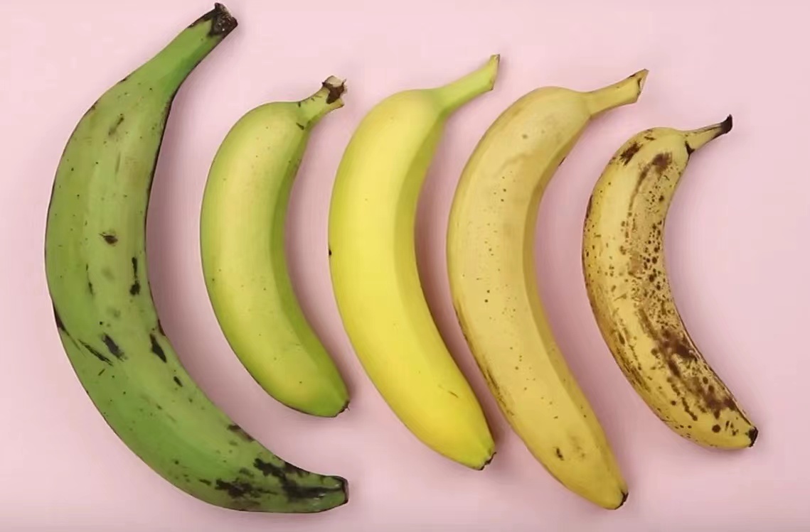 30年后香蕉会灭绝？了解香蕉发现，我们吃香蕉其实来自同一棵树