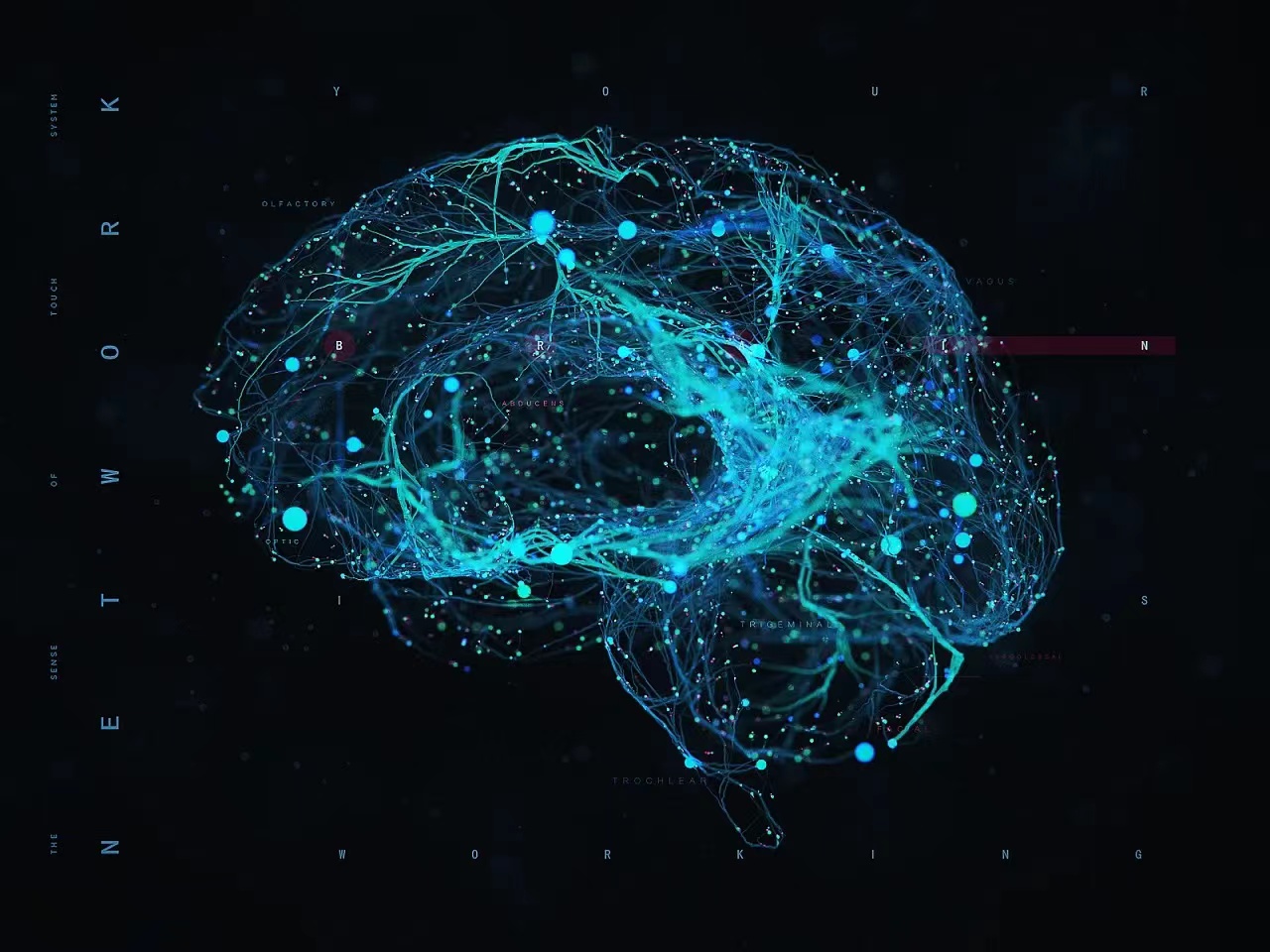 科学家发布惊人理论：宇宙是一个巨大神经网络，没想到竟是活的？