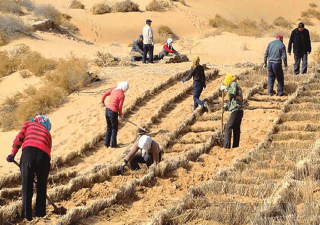 毛乌素沙漠快消失，塔克拉玛干也缺少植被，为什么不会被消灭？