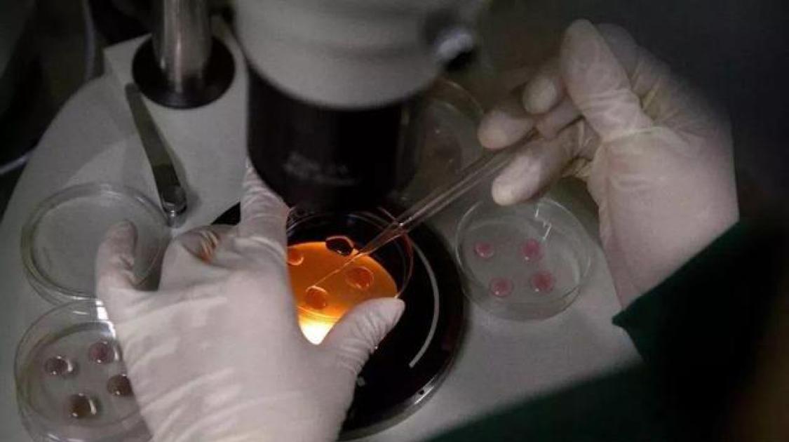 胚胎基因编辑造福人类，HIV免疫与生俱来，但其后果你想过吗？
