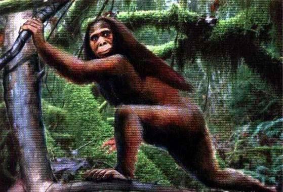 专家在1997年曾对“猴娃”曾繁胜的遗骨进行检测，结果如何？