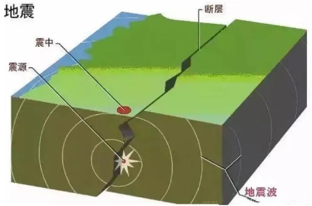 住在哪层遇到地震时会更安全？高楼层真的比低楼层更危险吗？