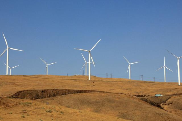 西方国家陷入反风电浪潮，风力发电的危害有多大？“垃圾电”？