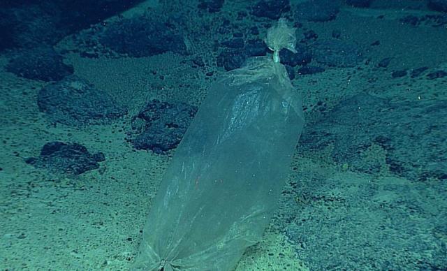 下潜到1万多米的海底，科学家发现不该发现的东西，到底是啥？