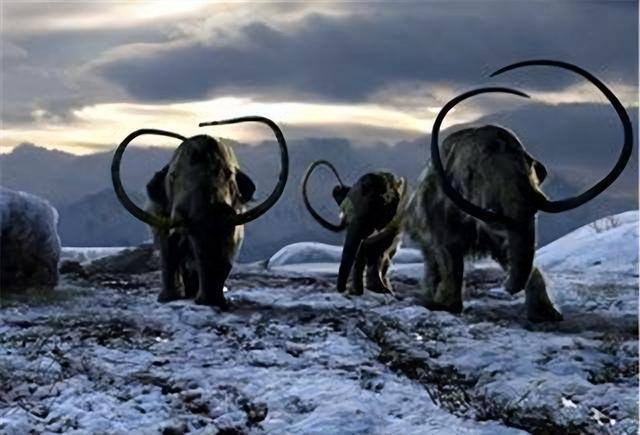 史前生物遗骸重现北极，人类感到不安：地球潘多拉魔盒开了？
