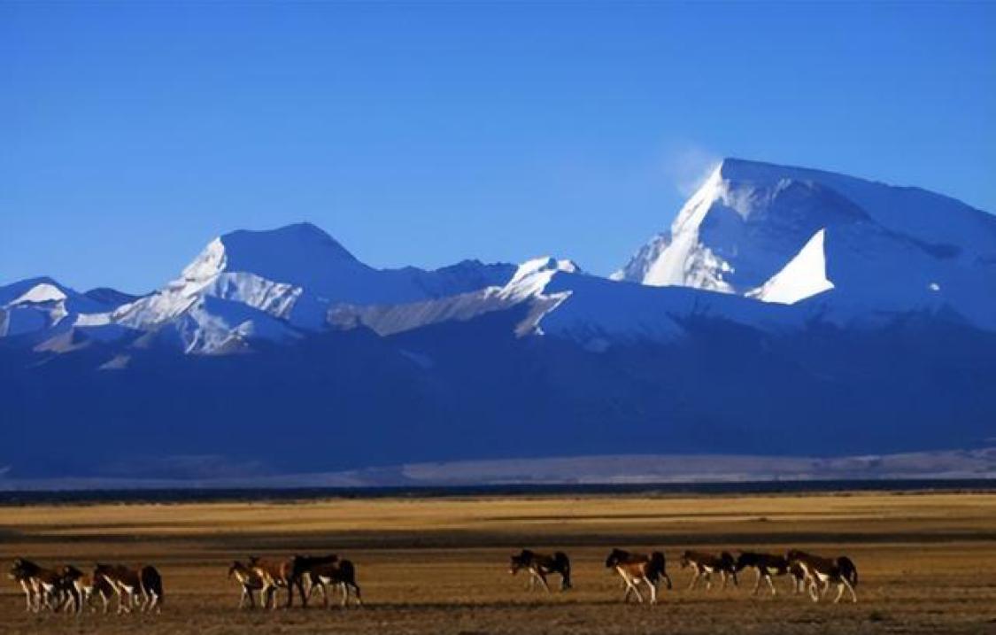 青藏高原湖泊面积为何剧增？中印面临世纪难题，印度已初尝苦果