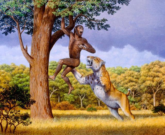 人类这么弱，连猩猩都打不过，人类祖先是怎么活下来的？