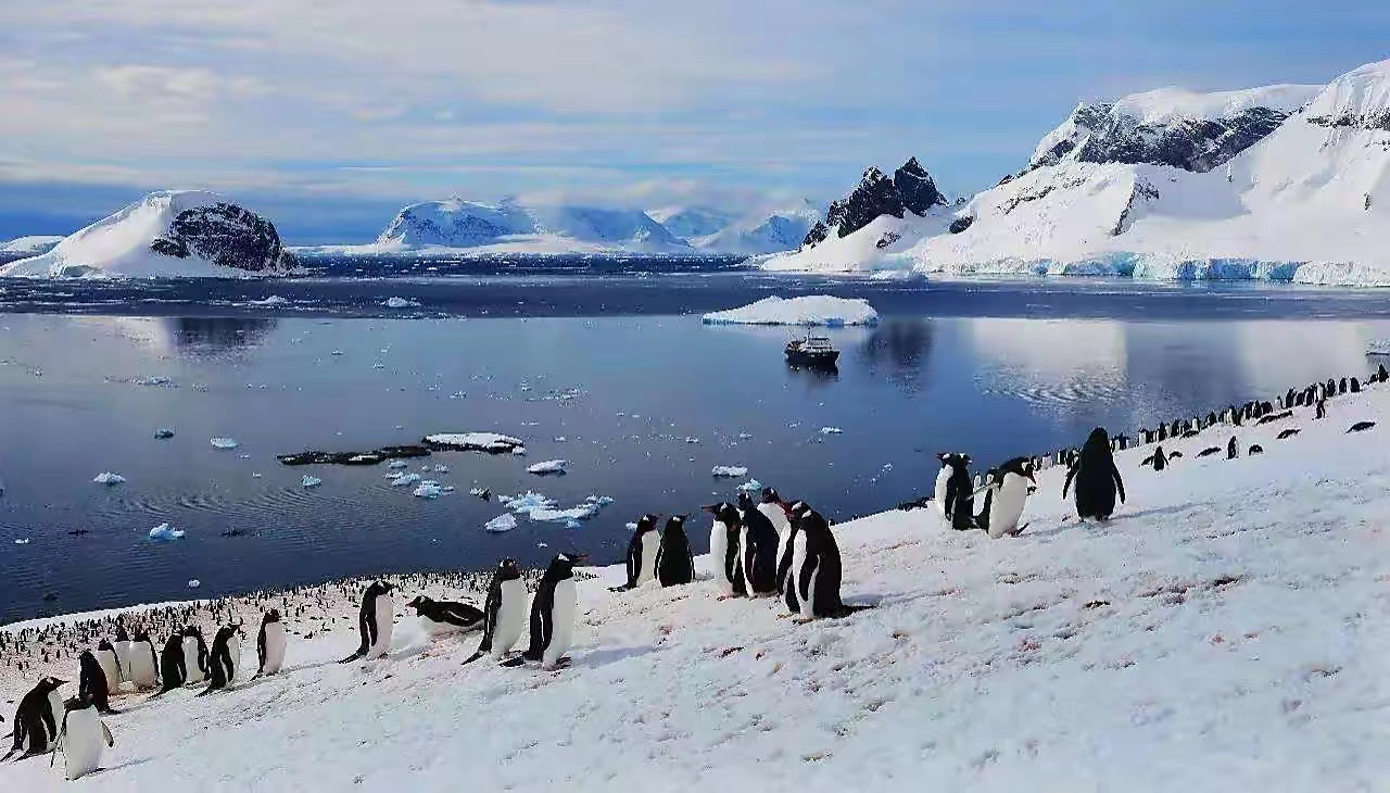 人类发现了南极200多年，为什么南极却不归任何一个国家所有？