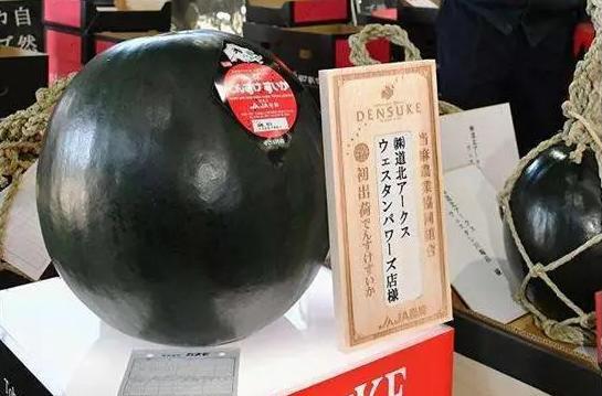 两毛一斤的水果之王，黑皮瓜在20年前风靡一时，为何如今没人种？