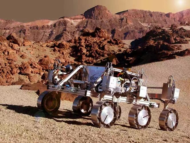 火星车早就发现火星生命了？机遇号拍到“蜥蜴”，它究竟是什么？